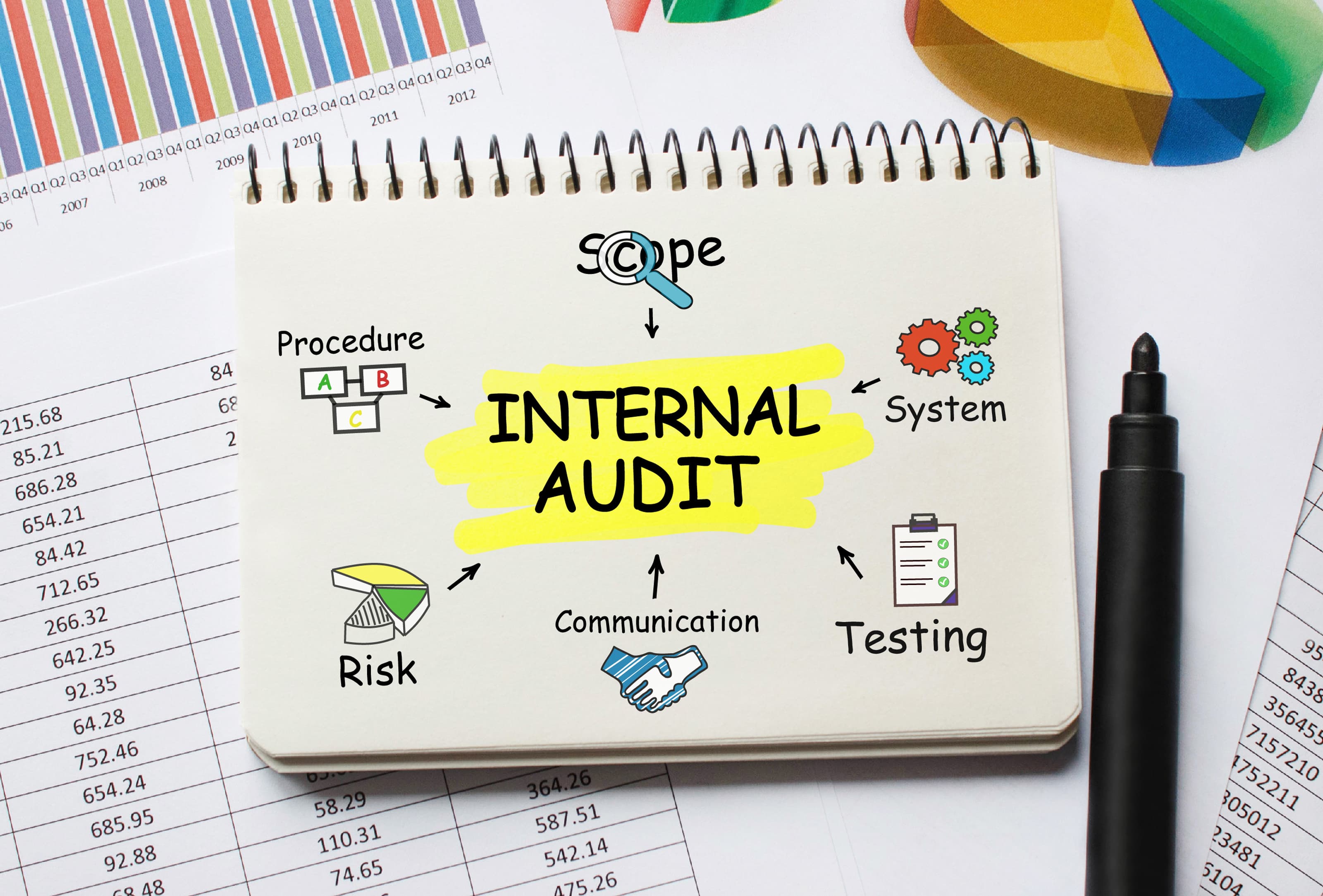 Internal audit hero - professional auditor reviewing documents