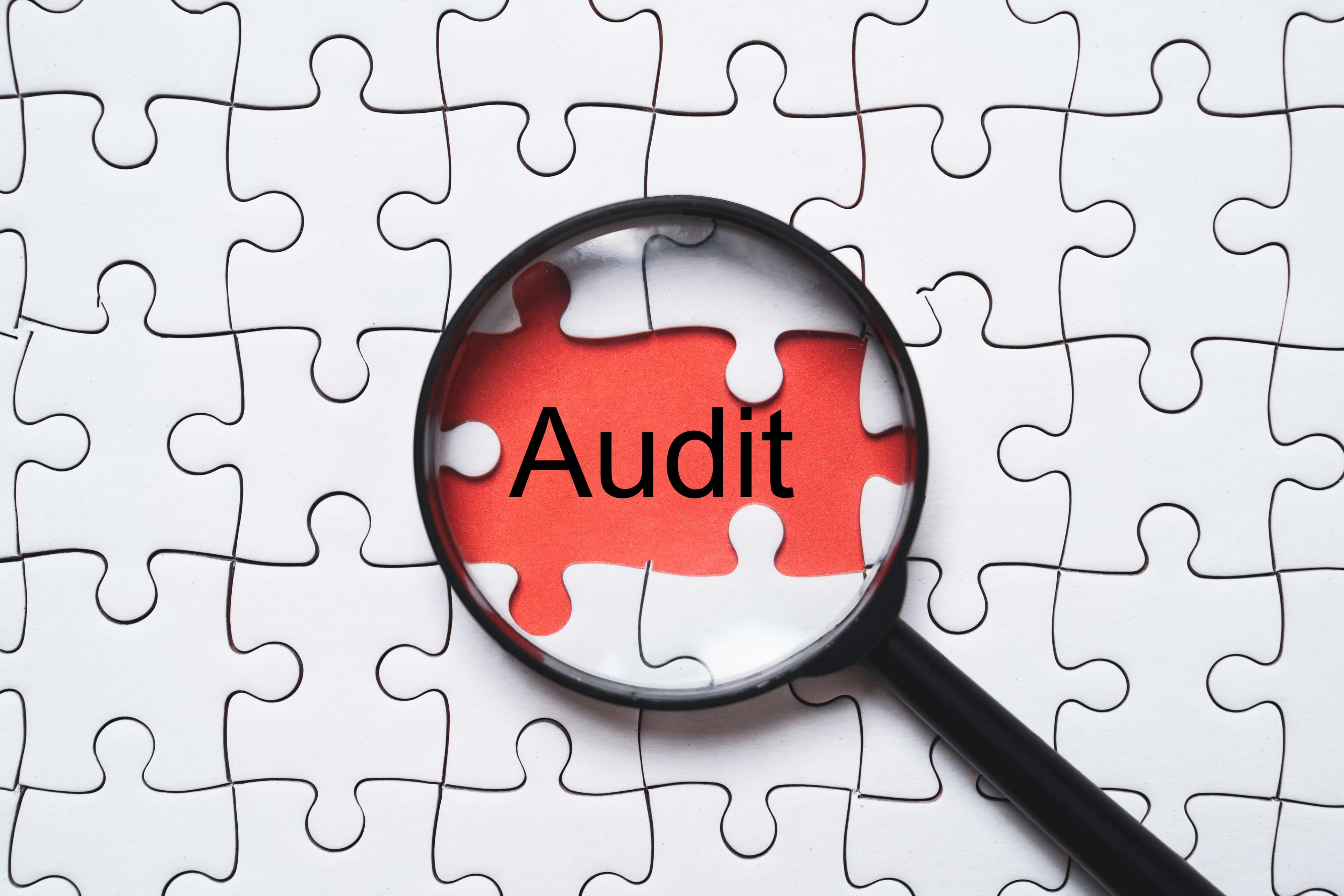 Audit puzzle - analytical thinking and problem-solving approach